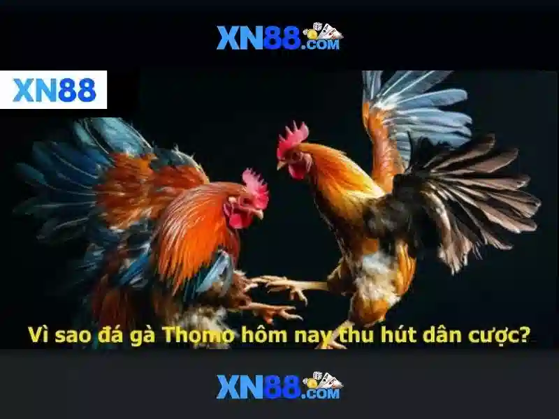 💎kèo nhà cái ty le💎