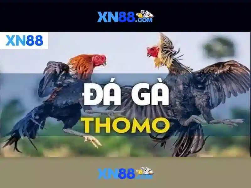 💎manclub é bom💎 - manclub ú - manclub manclub15 com