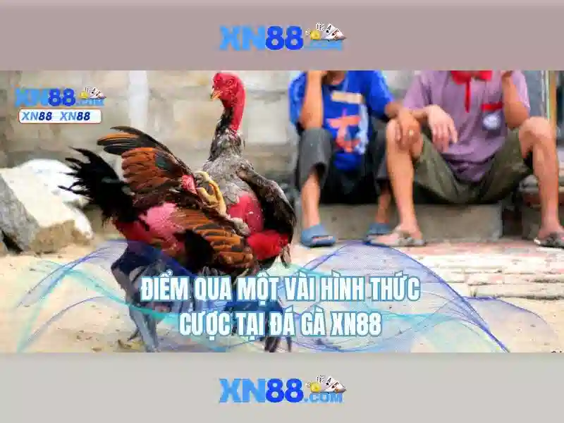 💎tai sin88💎 - choi sin88 - sin88 website