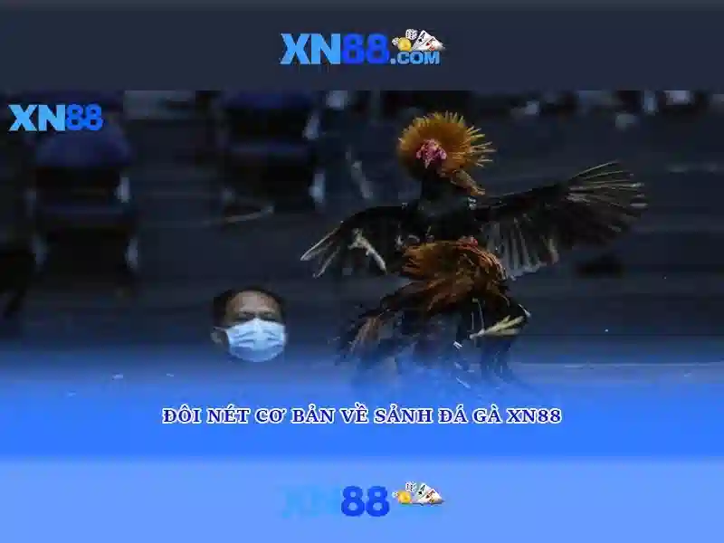 💎sin88 link đăng ký💎 - sin88 hiện đang mở - sin88 link vào