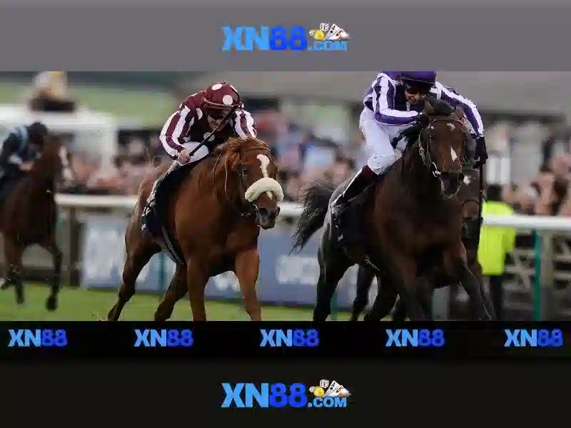 💎tỷ lệ kèo nhà cái 5 tỷ lệ kèo nhà cái 5💎