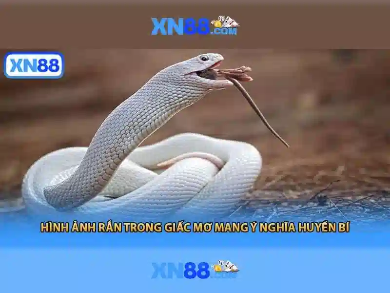 giấy phép hoạt động - XN88