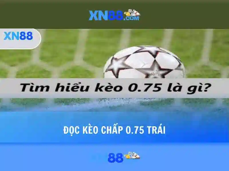 💎xem ttbd keo nha cai💎