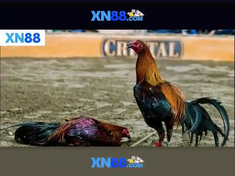 💎peek a boo slot canyon tour💎