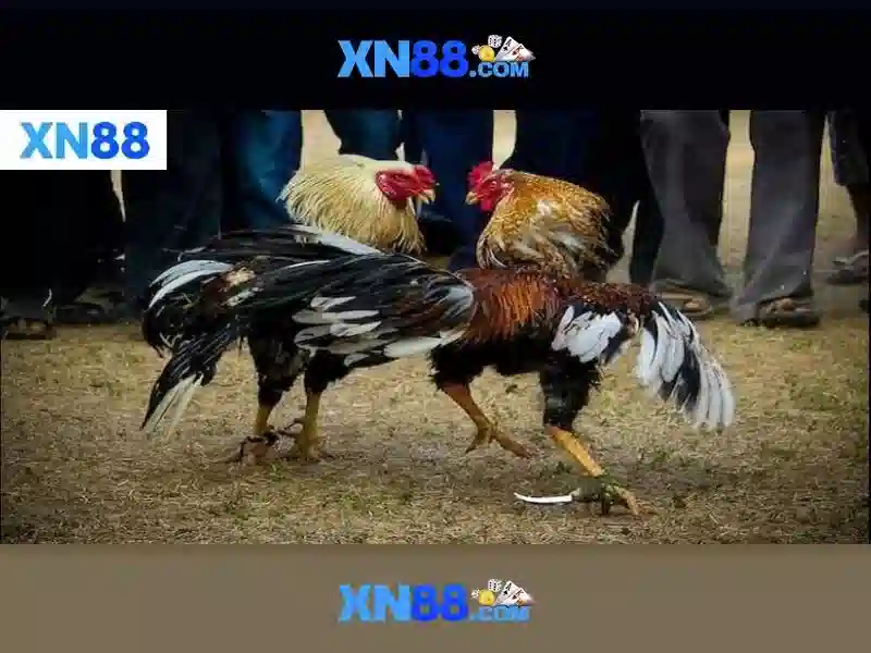 💎manclub click💎 - manclub pc - manclub link