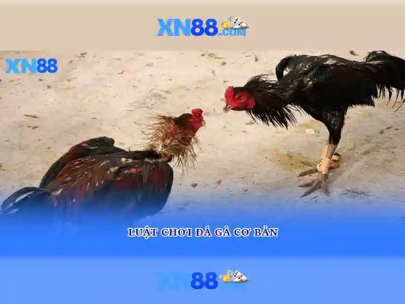 💎free hb88 game💎