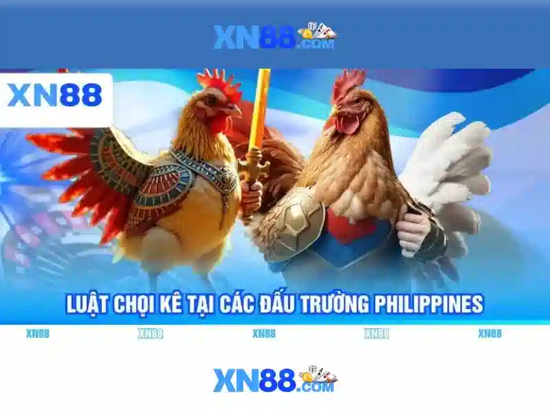 💎nhà+cái+khuyến+mãi+thành+viên+mới+88k💎