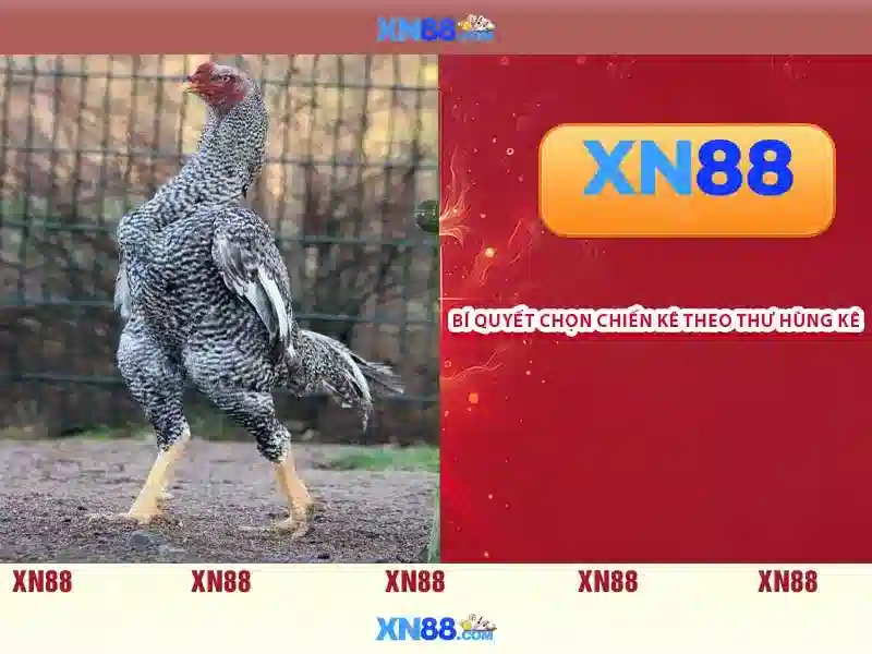 💎pci adapter slots💎