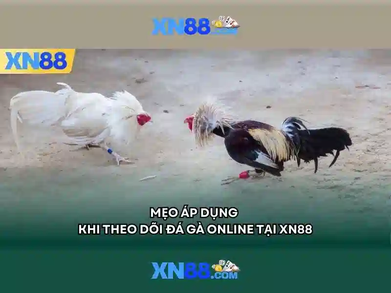 💎pháp vs áo kèo nhà cái💎