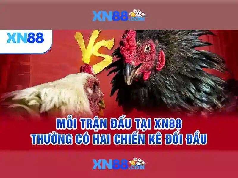 💎sản khuyến mãi nhà cái💎