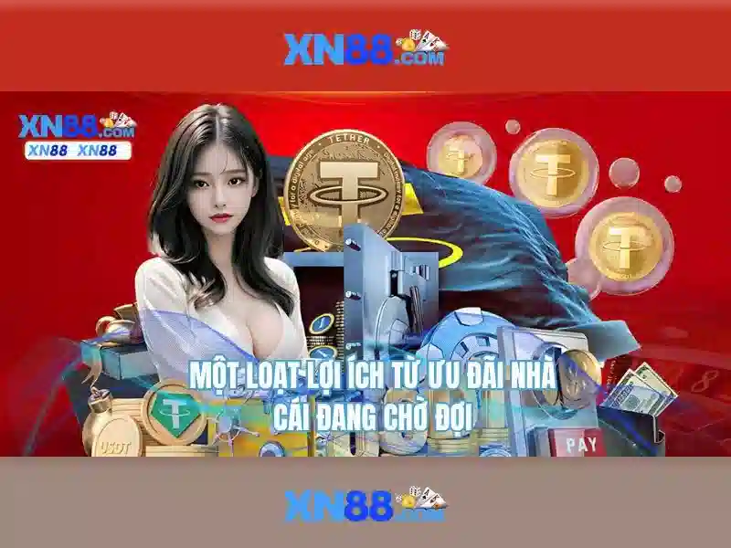 điều khoản điều kiện - XN88