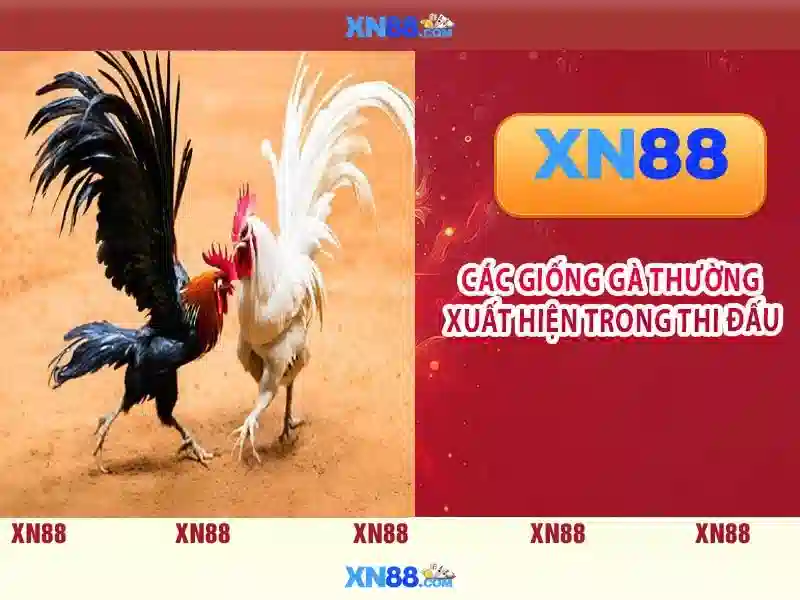 💎888slot mail hà nội💎