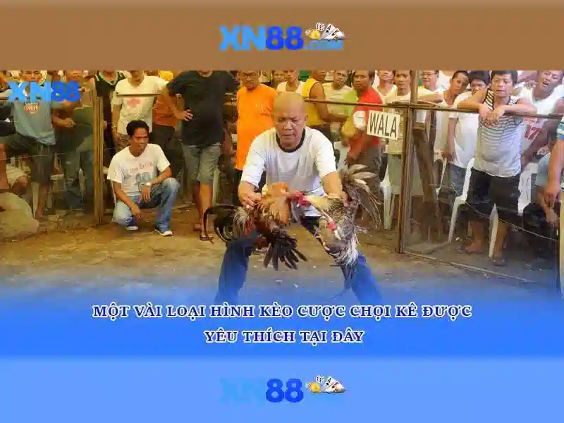 💎fabet tiền thưởng💎 - fabet bollate - dự đoán xsmb fabet