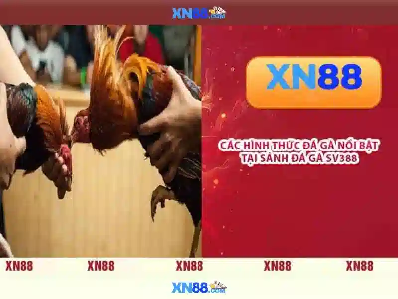 💎fabet là gì💎 - dang ky fabet - fabet mã tiền thưởng