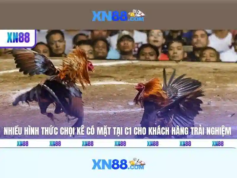 💎nhà xe tân việt hải dương móng cái💎