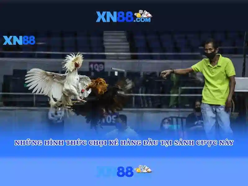 💎w88 kèo nhà cái💎