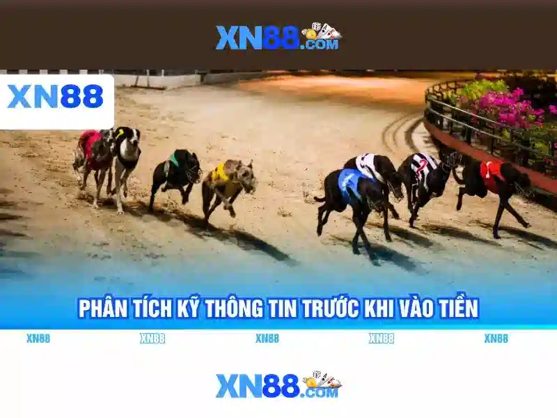 💎nhà cái sh bet💎