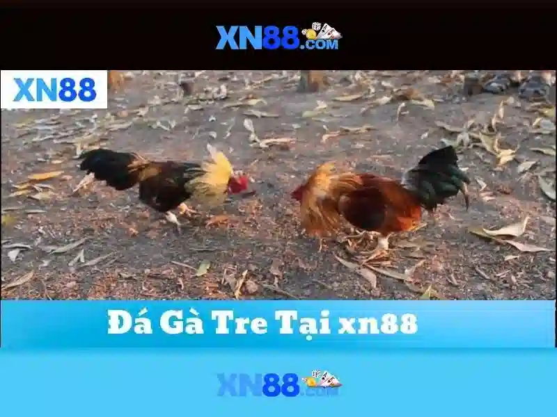 💎nhân vật cai lệ và người nhà lí trưởng💎