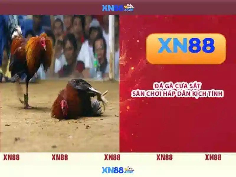  nhà cái uy tín - XN88