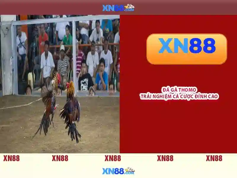 💎royal 888 casino com register online💎