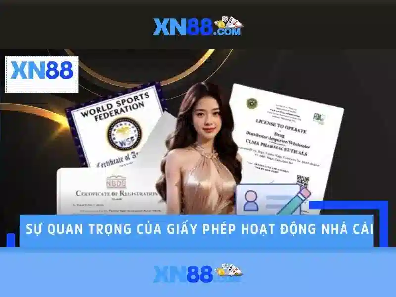 💎link nhà cái💎
