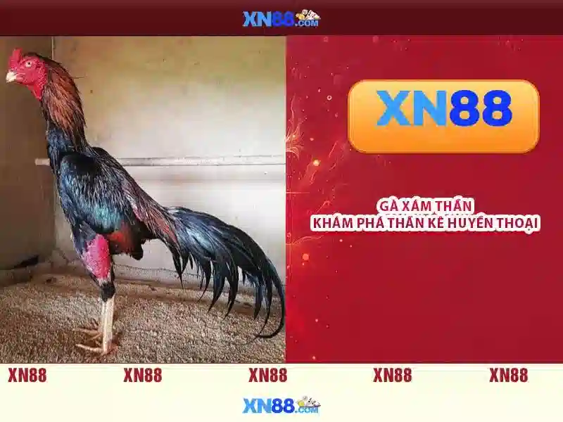  chơi Slot trực tiếp - XN88