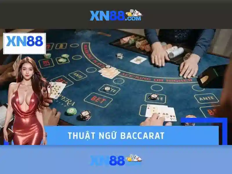 💎cá cược bóng đá bongdabinhduong💎