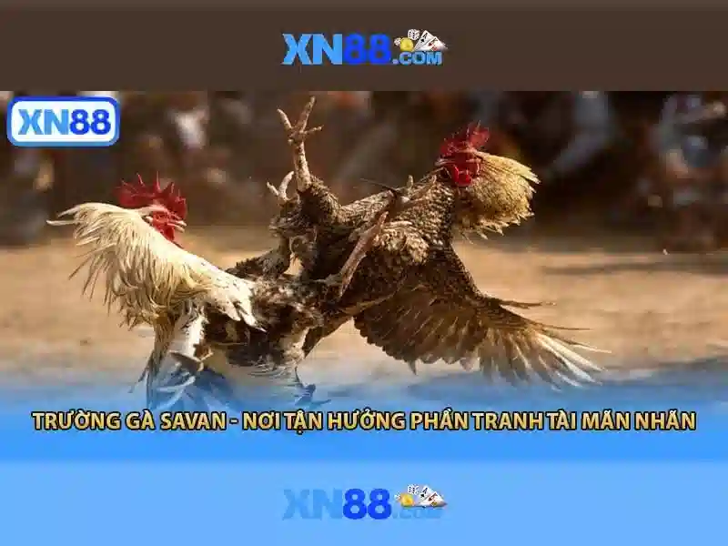 💎dragons clusterbuster slot💎