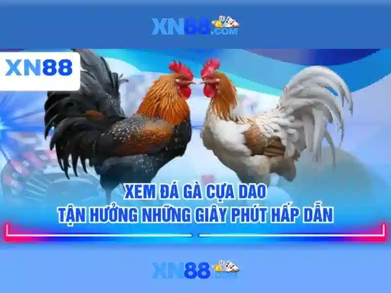 💎tỷ lệ nhà cái việt nam thái lan💎