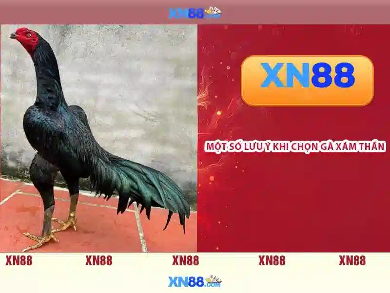 💎fabet cc không vào được💎 - fabet hiện đăng mở - fabet live