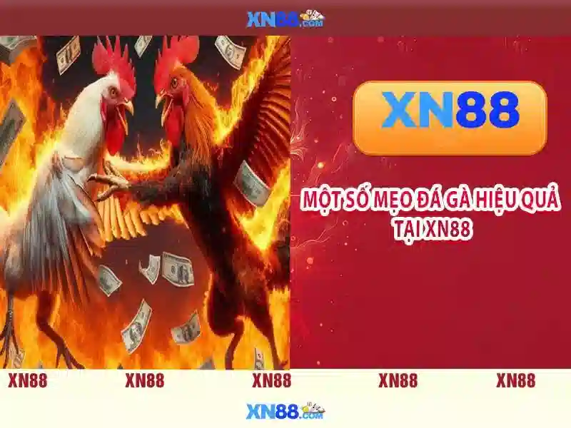 💎nhà cái soi kèo afb💎