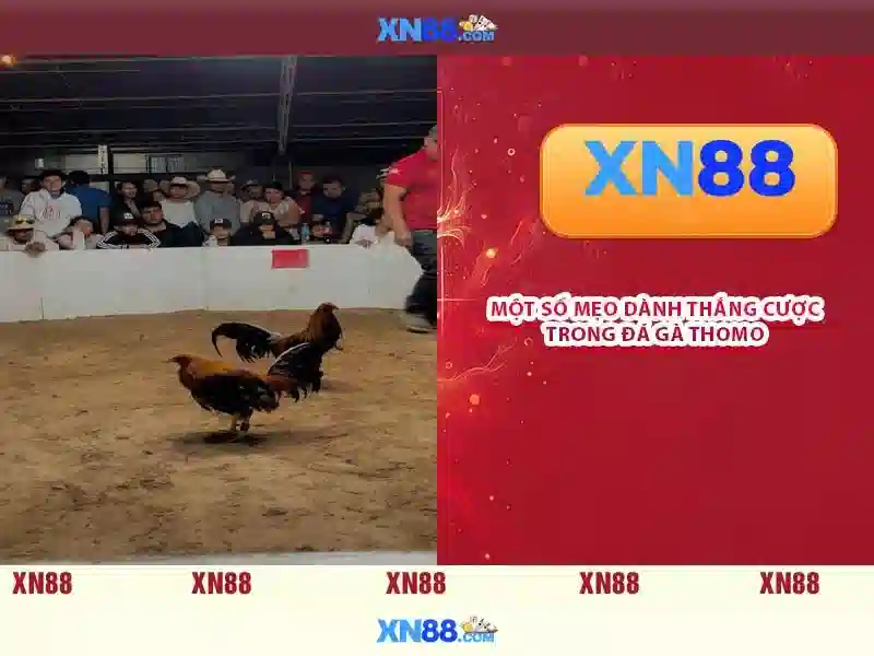 💎vẽ cái nhà💎