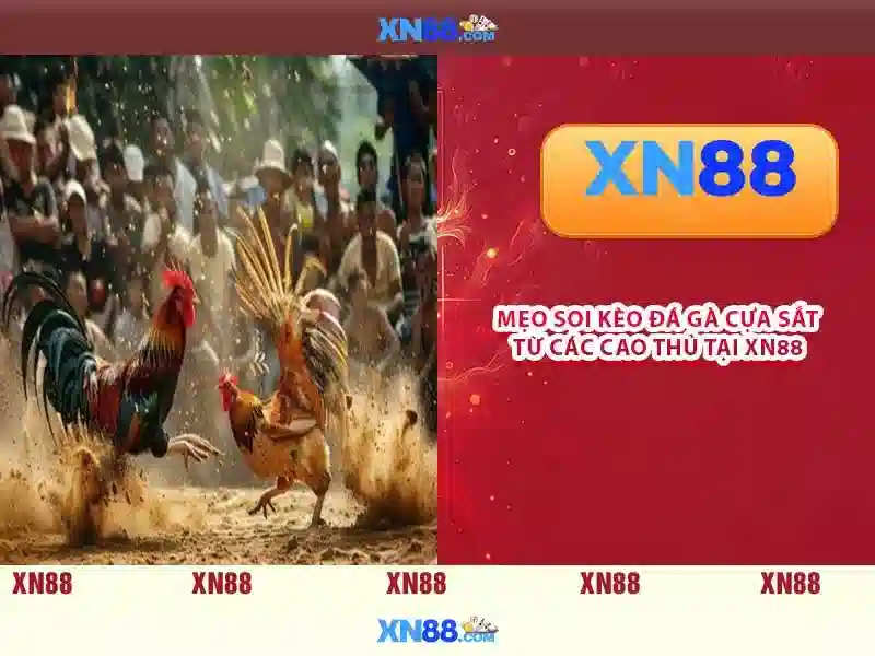 💎ca cuoc the thao keo💎