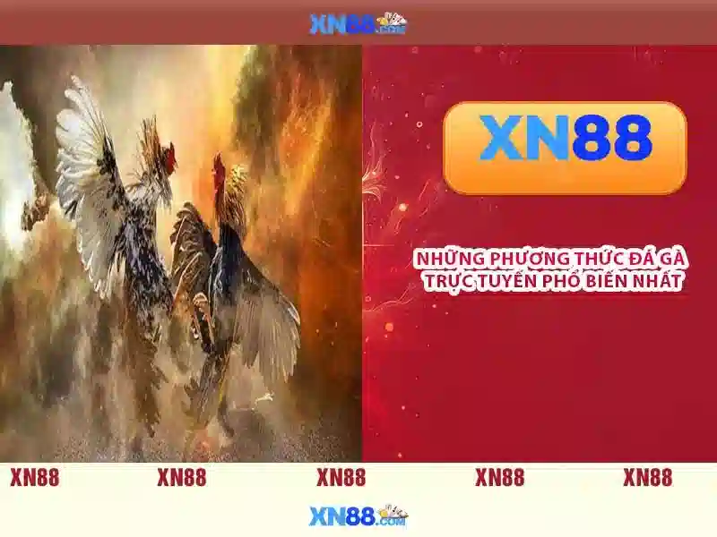 💎nên chọn mạng cá cược nào💎