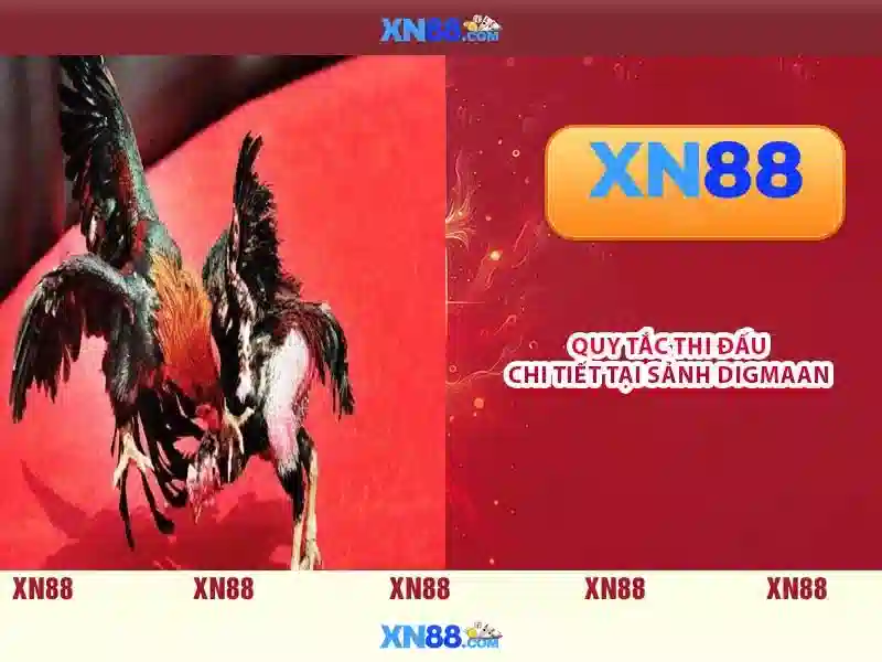 💎fabet net💎 - fabet net - fabet boi