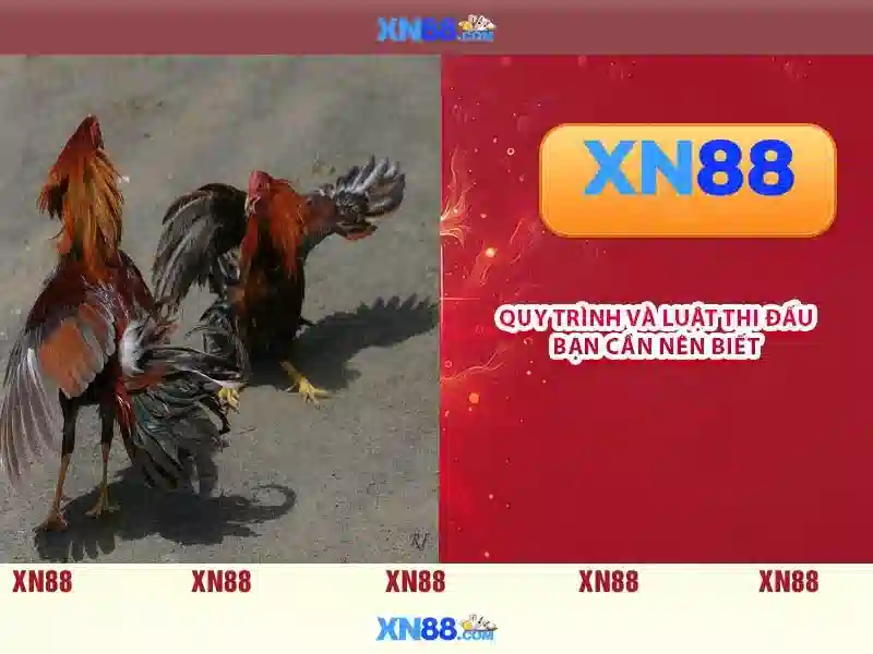 💎tottenham hotspur hb88 slot💎