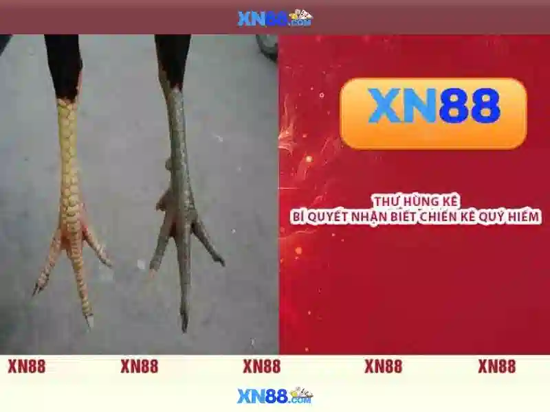 💎daftar slot habanero💎