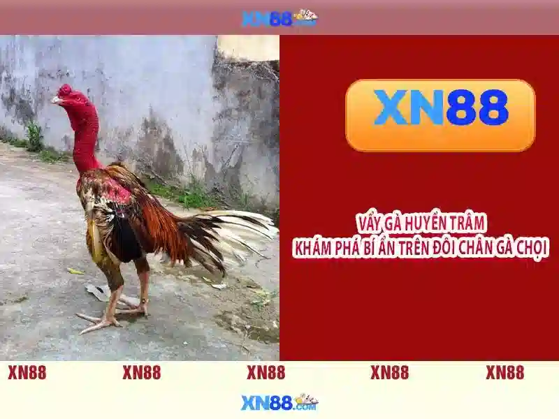 💎nhà cai uy tin dvpc💎