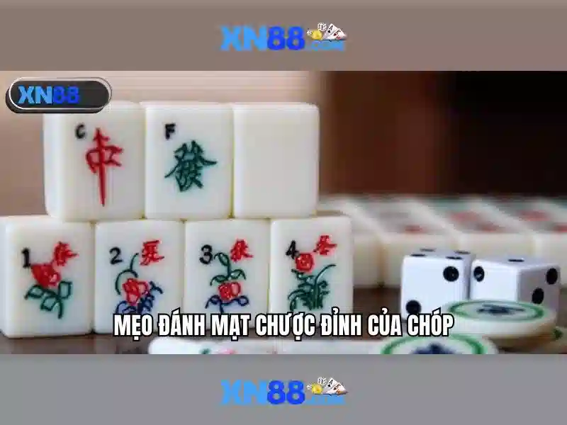 💎cước câu cá xịn💎
