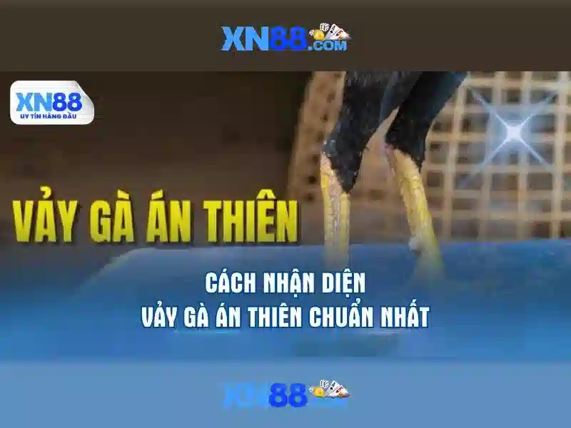 💎kèo nhà cái pháp vs đan mạch💎