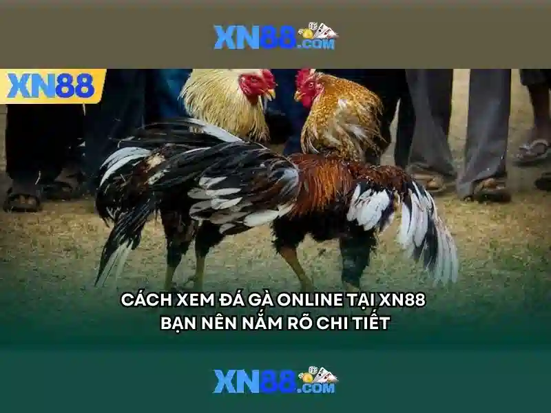 💎nhà cái single bet💎