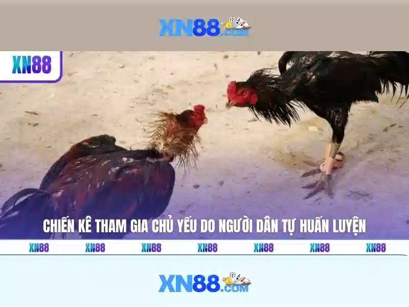 💎các trang đánh bạc uy tín💎