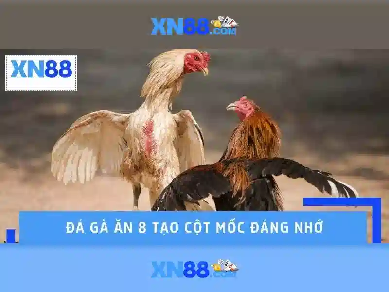 💎tỉ lệ cá cược bóng đá💎