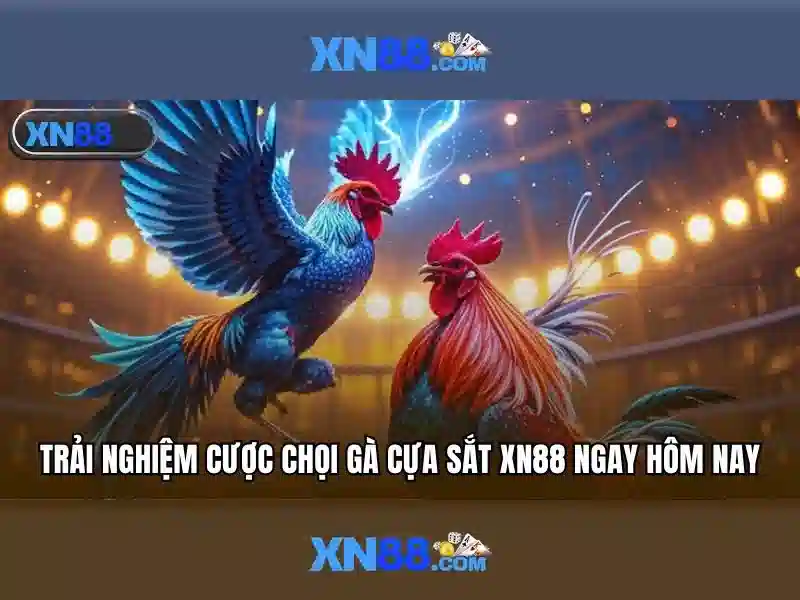 💎xem kèo trực tiếp nhà cái💎