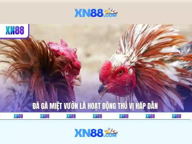 💎casino slot wallets💎