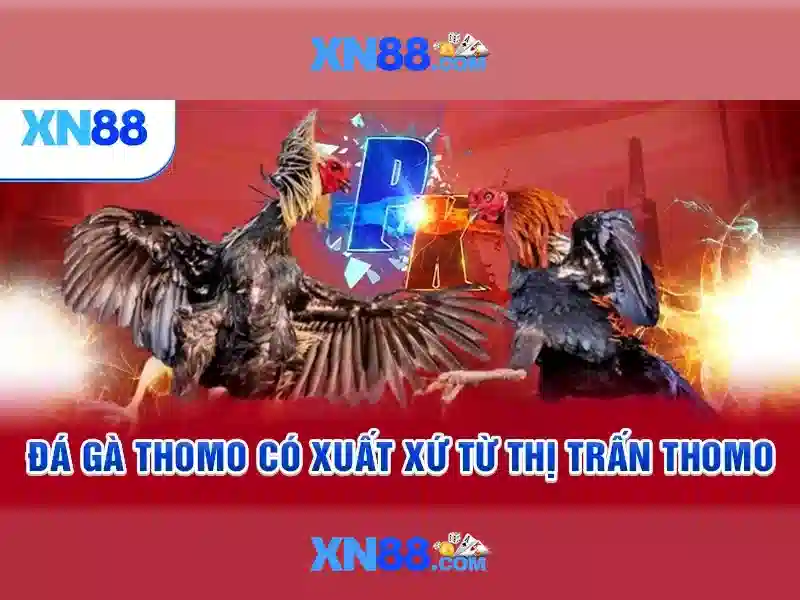 💎nhà cái uy tín 23💎