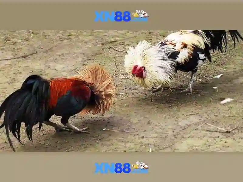 💎what is m.2 wifi slot💎