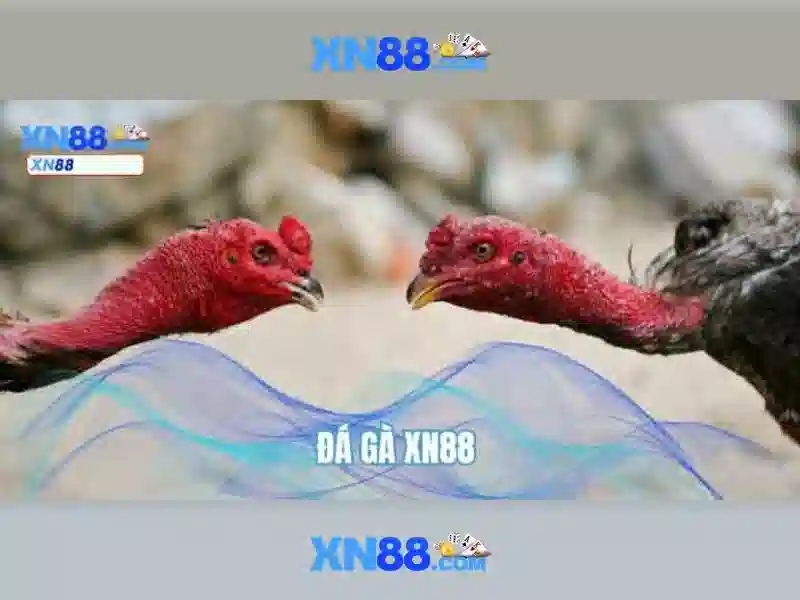 💎link nhà cái shbet 338💎