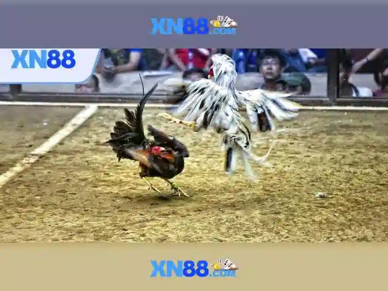 💎devil fire xn88💎