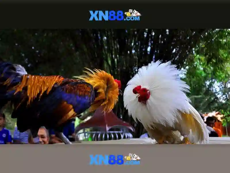 💎how to pronounce slot💎